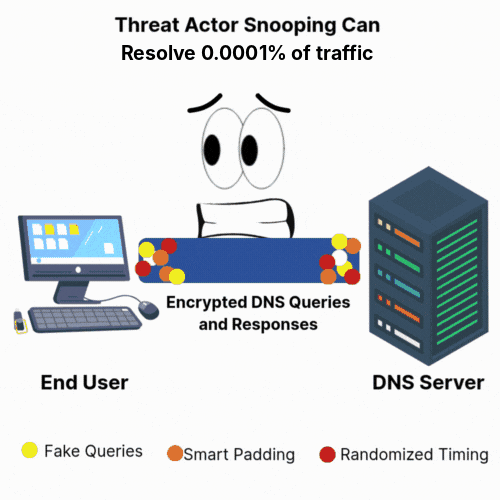 Animation: with fake queries, smart padding and randomized timing mixed in, the snooper can resolve only 0.0001% of traffic