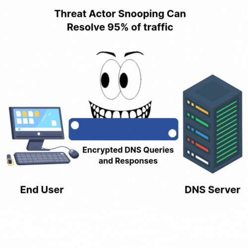 Animation: a threat actor snooping on encrypted DNS queries between an end user and a DNS server can resolve 95% of traffic